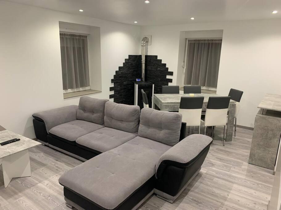 Appartement Neuf, Au Coeur Du Massif Vosgien Fraize 外观 照片